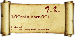 Tézsla Kornél névjegykártya